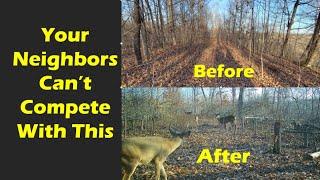 How to Create Great Buck Bedding With Hinge Cuts on Hilly Properties
