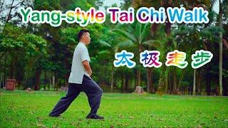 Yang-style Tai Chi Walk 太极走步 Tutorial