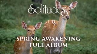 1 hour of Relaxing Music: Dan Gibson’s Solitudes - Spring Awakening (Full Album)