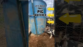 Let’s Build A Pig Waterer