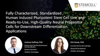 A Human iPSC Line and Neural Progenitor Cells for Downstream Differentiation Applications