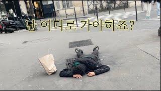 여행의 끝에서.