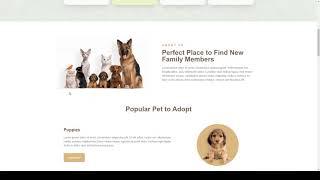 Purrfect - Pet Shop Elementor Template Kit shop animal