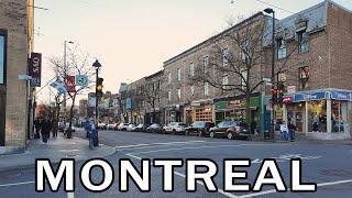 Montreal Walk from La Fontaine Park to Mont-Royal metro - November 2024