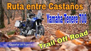 Ruta entre CASTAÑOS - Serranía de MÁLAGA - Yamaha Tenere 700 - 2024