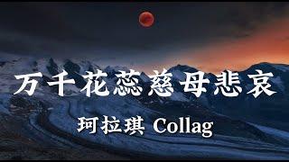 万千花蕊慈母悲哀 - 珂拉琪 Collage 【台语動態歌詞Lyrics】