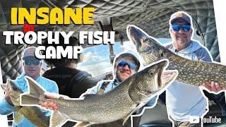 Insane Trophy Fish Camp