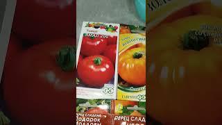 Дачный сезон открыт #буднимамы #рассада #дача #семена #рекомендации