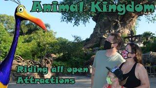 ANIMAL KINGDOM we are Back! // Every Ride in a Day and a Cupcake hunt! // August 2020