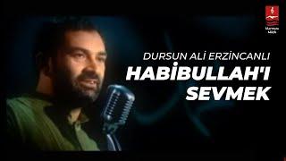 DURSUN ALİ ERZİNCANLI "HABİBULLAHI SEVMEK"