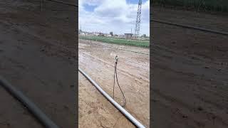 Smart Water Saving Hose for Herb Farms!  #shorts #agriculture #farmingtech #watertech #diyirrigate