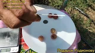 Подарок Родионову.