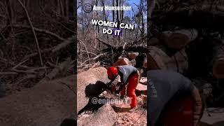 Process of cutting down a century-old tree