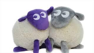 Ewan the Dream Sheep