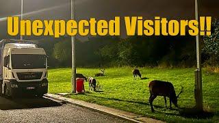 Unexpected Visitors | Vlog 266