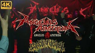 [4K] ANGELUS APATRIDA(from ESP) LIVE IN KOREA (2024.03.16. @Club Victim, Seoul)