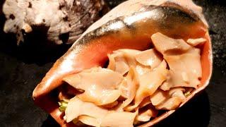 Giant SEA SNAIL | Exotic Food