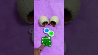 #satisfying #squishy #funny #funandfidgety #popit #squish #fidget #fidgettoys #shortsviral #trending