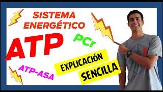  SISTEMAS ENERGETICOS ATP PC  (Fácil de entender) (1º parte) Papel de ENZIMAS en el metabolismo