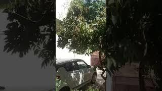 Me & my kitchen Garden #music #song #hindi #bollywood #maggy & chhoti