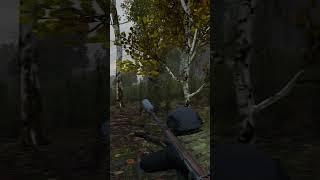 Ждал машину паралельно смотря видео  #shorts #dayz #fradout #dayzmoments #dayzstandalone #dayzclips