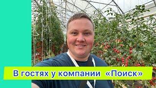 Супер томаты! Обзор, сложно сделать выбор!