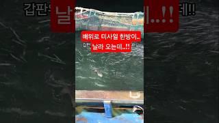 라이브방송중.. 갑자기 미사일 한방이 날라오는데..!!