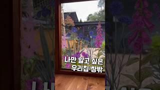 꽃이 피었어요. 우리집 창문이 화제인 이유 #방꾸미기