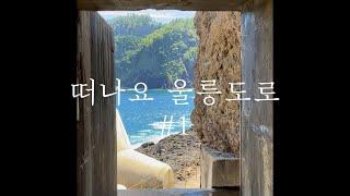 울릉도 여행일기 #1 (타이어 펑크부터 울릉크루즈 뉴씨다오펄호 2인실, 나리분지, 산마을식당, 관음도, 저동해안산책로, 내수전몽돌해변 스노쿨링, 마루통닭 까지)