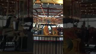 NYS Museum 1914 Herschell-Spillman Carousel #History #Carousel #NYS #NewYork #NYSMuseaum