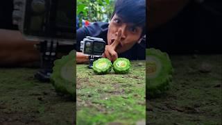 Here we go!! I'm going to record the movement of millipedes that come to these bitter melon pieces