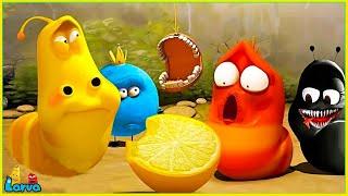 Larva Animation Comlication : Ultimate Larva Full Episodes Compilation – Watch Nonstop Fun