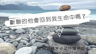 理科塔羅。斷聯的他會回到我生命中嗎？時間牌卡使用。【誠實豆沙包Alert!!】Timeless.