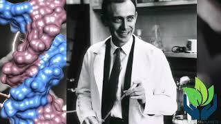 James Watson  en tres minutos