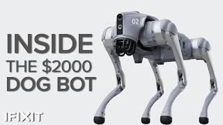 Tearing Down the Unitree Go2: A Robotics Expert's Deep Dive