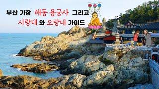 Busan Guide/Korea/부산 최고의 명소/바다와 가장 가까운 절 해동 용궁사 & 시랑대와 오랑대 가이드