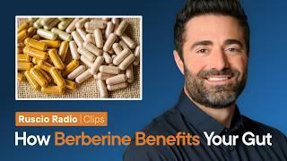 Should You Take Berberine for SIBO & Gut Health? (Research Findings)