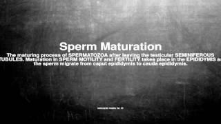 Medical vocabulary: What does Sperm Maturation mean