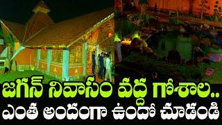 AP CM YS Jagan Mohan Reddy Visit Goshala at His House in Tadepalli | Indiontvnews