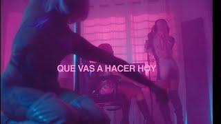 OMAR COURTZ (((ousi))) x DE LA ROSE  - QUE VAS HACER HOY  ? (Visualizer) l PRIMERA MUSA