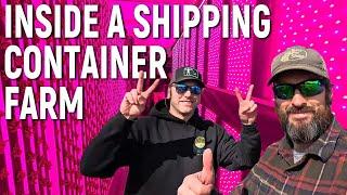 Grow FRESH Veggies 365 Days a Year in a SHIPPING CONTAINER! / Farm Tour!