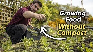 How to Grow Food WITHOUT Compost | Zero-Cost Solutions for Short-Term Vegetable Gardening Success