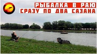 СРАЗУ ПО ДВА САЗАНА НА ОДНУ УДОЧКУ / ВОТ ЭТО РЫБАЛКА В АСТРАХАНИ