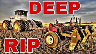 #bigbud #bigtractor  600HP BIG BUD Deep Ripping｜FRACTURE That Hard Pan!!