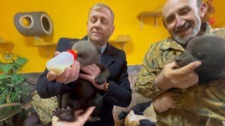 НЕЖДАНЧИК от Олега Зубкова прилетел в виде ДВУХ МЕДВЕДЕЙ на воспитание! Тора и Кнопа-ПОЛЮБИТЕ НАС!!!