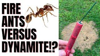 Fire Ants VS Flame Thrower | Acid | Toxic Gas (3 Unconventional Methods)