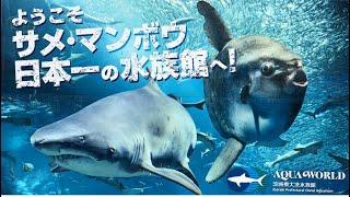 Find out this amazing fish at Oarai Aquarium Ibaraki