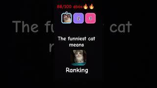 #cats #meme #funny my Ranking 