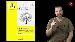 Baumpflege der Zukunft: Keine lebenden Äste entfernen und Totholz verbleibt im Baum!