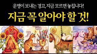 [타로운세] 지금 당신에게 다가오는 변화운명이 보내는 신호를 확인하세요